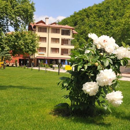 Family Hotel Delta أوجنيانوفو المظهر الخارجي الصورة