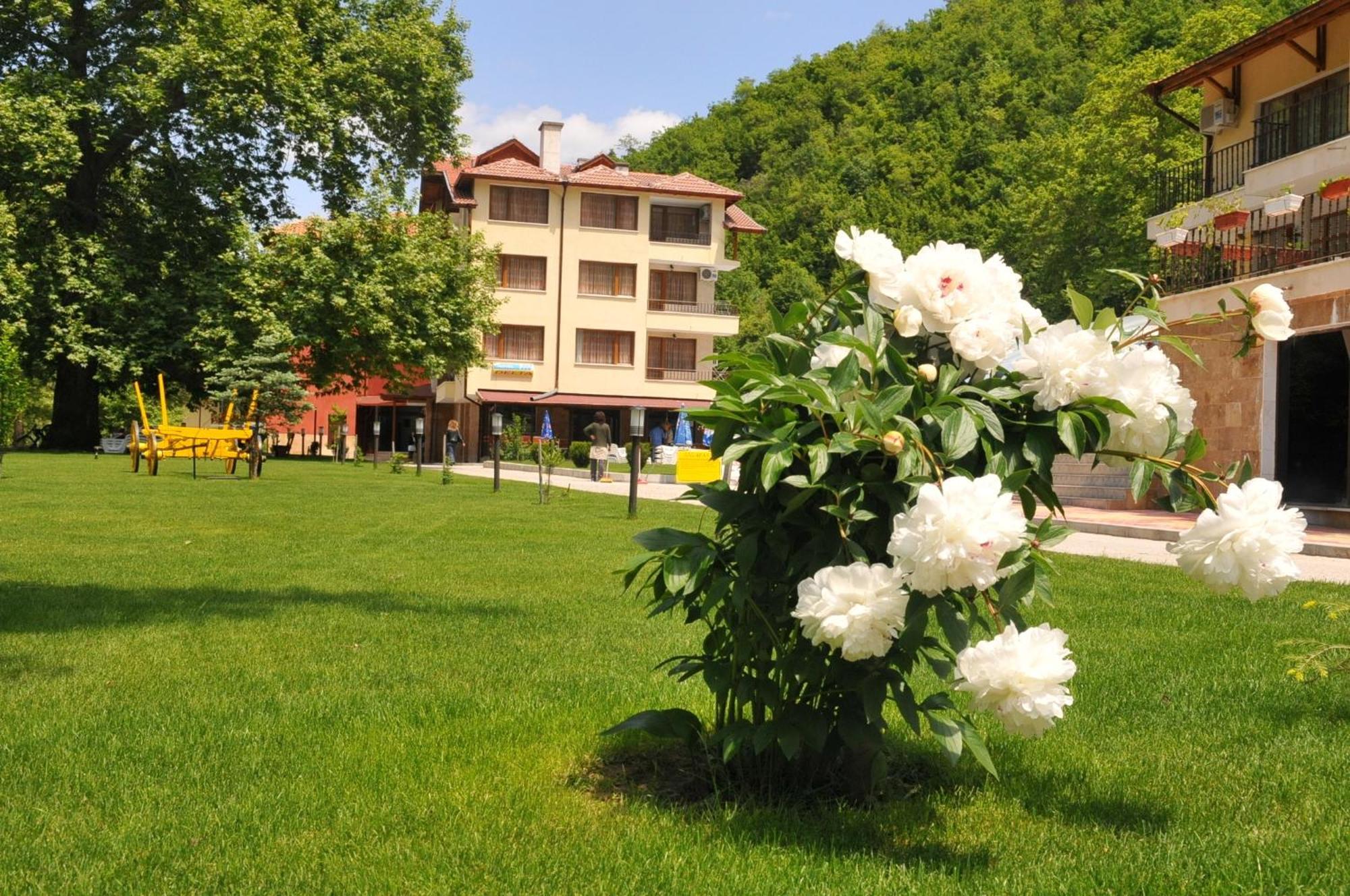 Family Hotel Delta أوجنيانوفو المظهر الخارجي الصورة